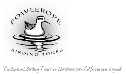 Fowlerope Birding Tours